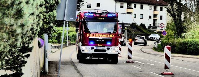 Übung der Feuerwehr Neuenstadt am Kocher 