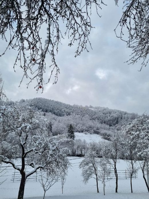 Winter in den Karpaten_2023_Weintal_Oberwischau_Maramures_Rumänien_IV