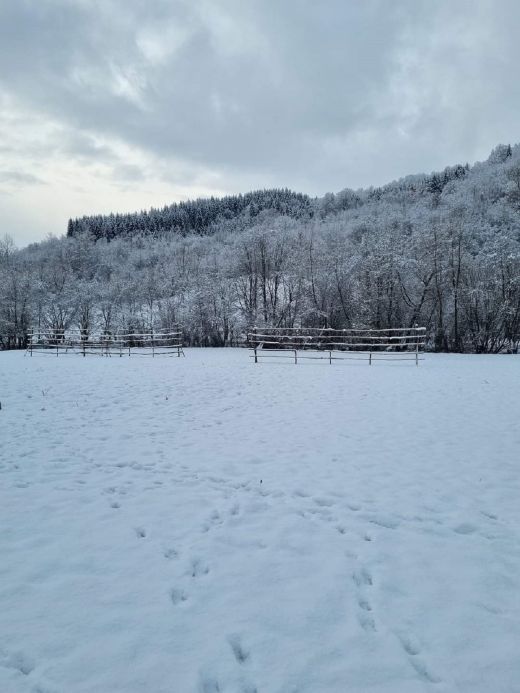 Winter in den Karpaten_2023_Weintal_Oberwischau_Maramures_Rumänien_VII